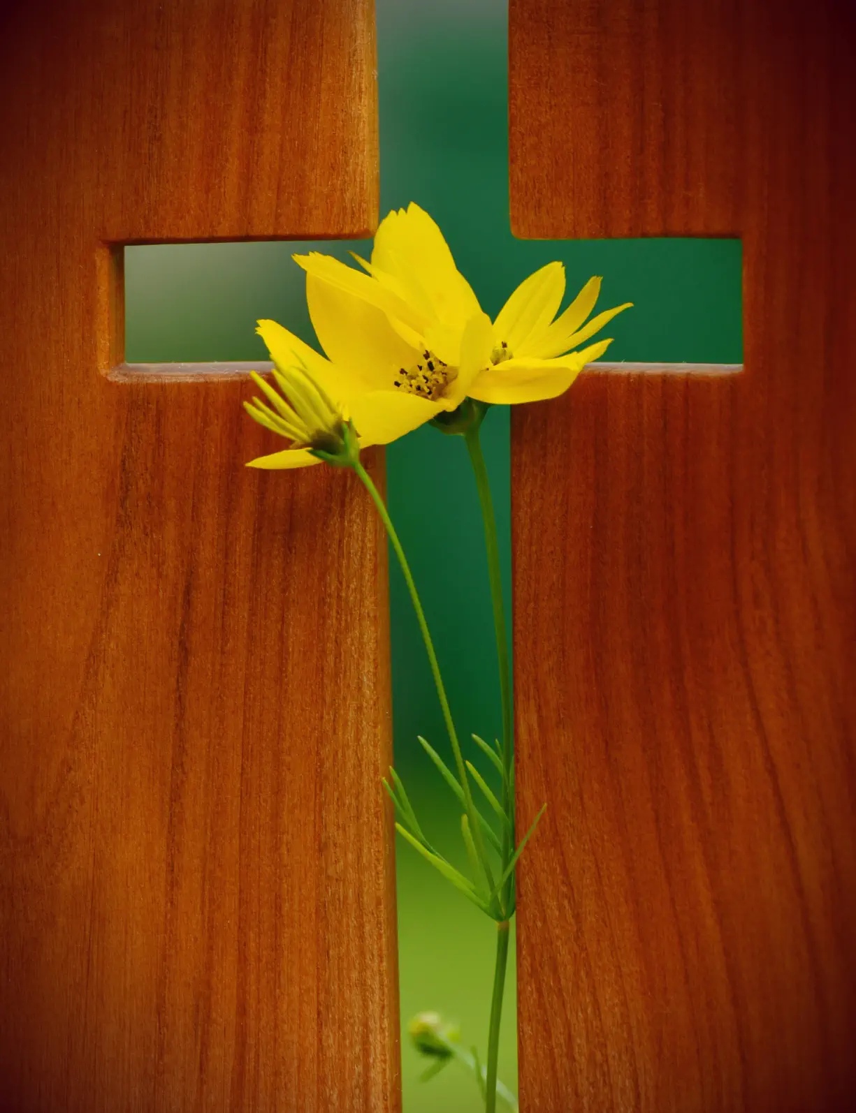 Cross cut out of wood with yellow flowers in opening at Lakeland Baptist Church in Iron River, Michigan